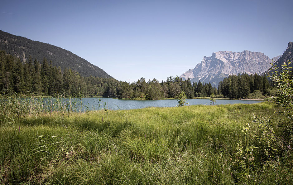 Wandern in Tirol, Wandern am Wasser, 3-Seen-Runde, Biberwier, Blindsee, Mittersee, Weissensee, Bergurlaub mit Hund, Wandern mit Hund in Tirol, Urlaub in Österreich