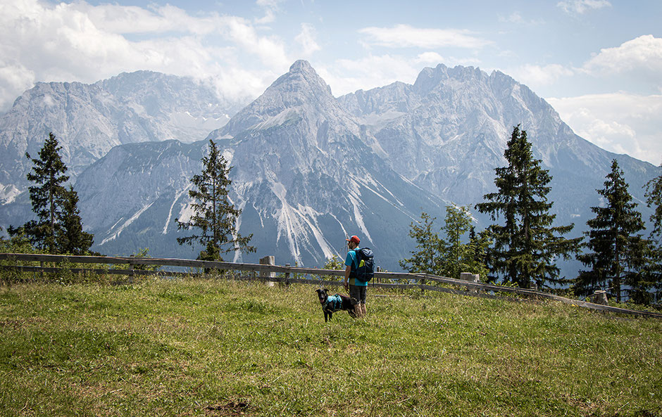Wandern in Tirol, Wandern in Österreich, Bergurlaub mit Hund, Tuftlalm, Lermoos, Ehrwald, Zugspitzland