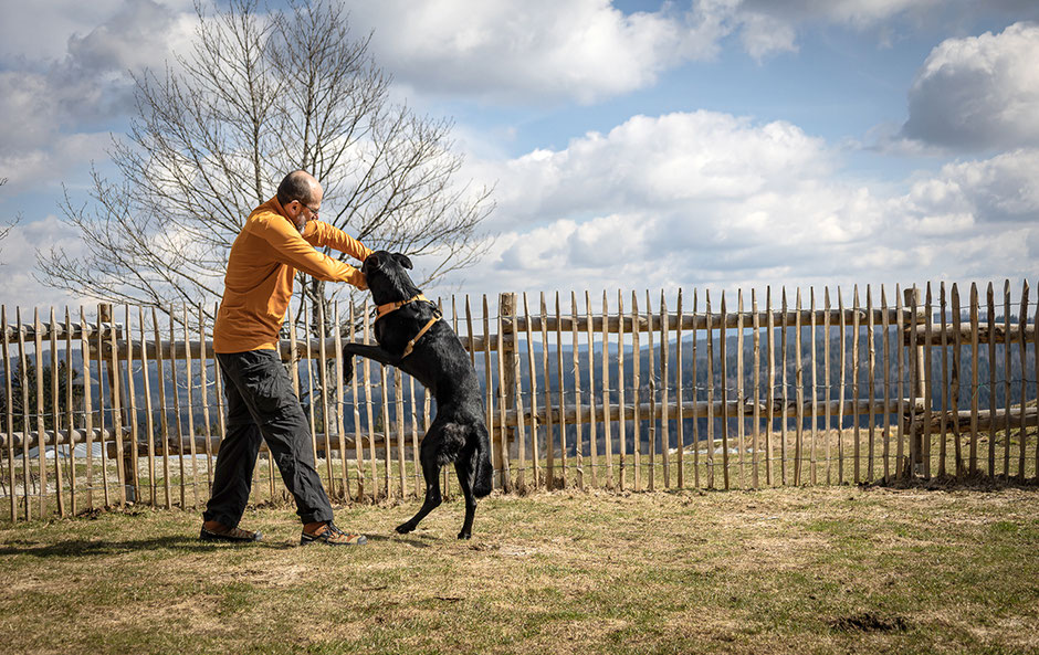 Hunderesort Waldeck, Urlaub mit Hund, Urlaub mit Hund bayerischer Wald, Chalets mit Hund
