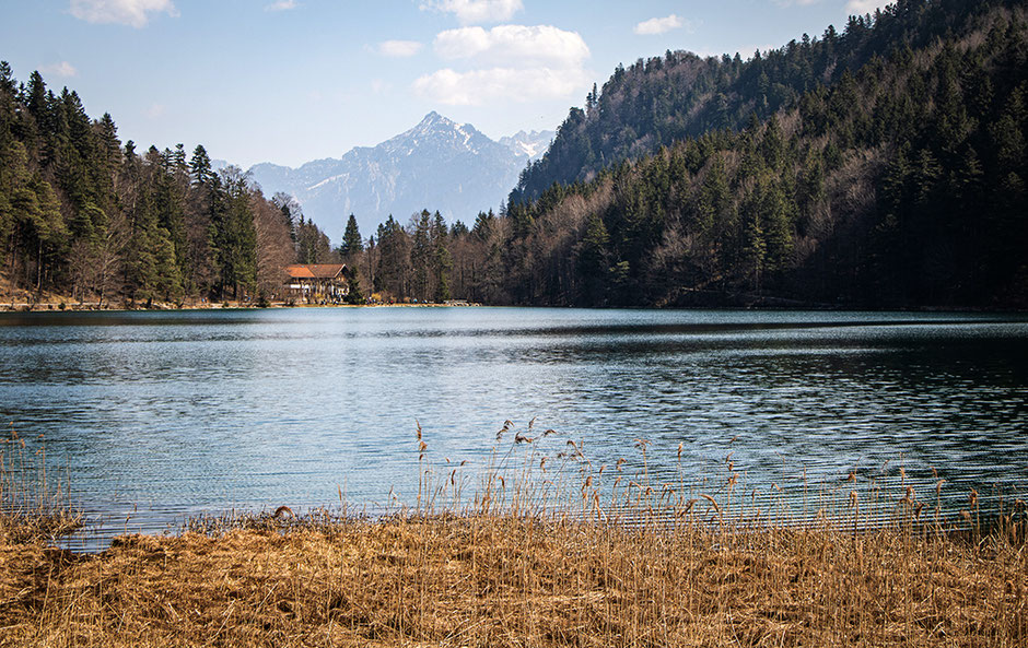 Urlaub mit Hund Bayern Allgäu, Bergurlaub mit Hund, Wandern Ostallgäu, Wanderkarte Ostallgäu, Alatsee, Salober Alm