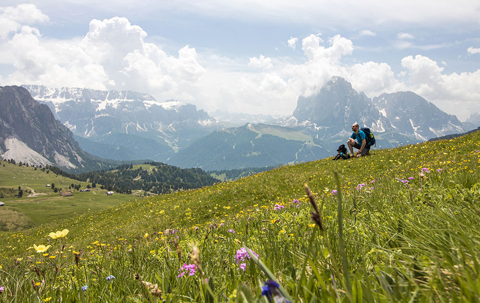 Seceda Wandern in Südtirol Grödnertal