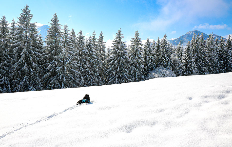 Wandern in Bayern, Wandern mit Hund, Urlaub mit Hund, Bergurlaub mit Hund