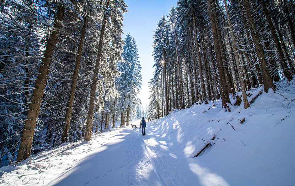 Aueralm Tegernsee Fockenstein Wandern in Bayern