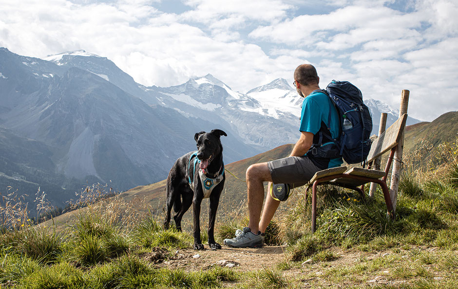 Wandern im Zillertal, Bergurlaub mit Hund, Hintertux, Wandern in Österreich, Wandern in Tirol, Wanderung Grüblspitze