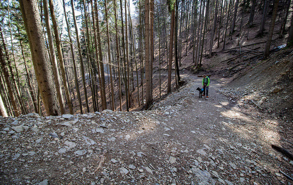Weg zur Sonnenspitze Kochel
