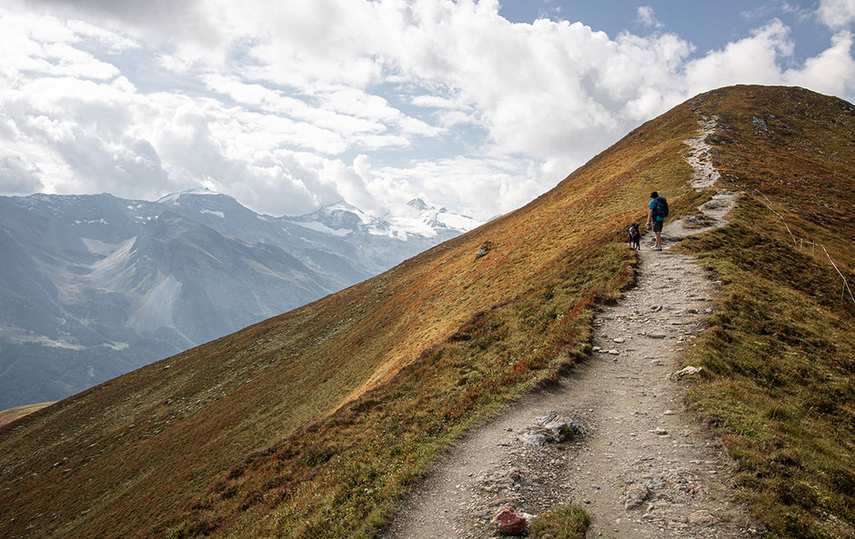Wandern im Zillertal, Bergurlaub mit Hund, Hintertux, Wandern in Österreich, Wandern in Tirol, Wanderung Grüblspitze