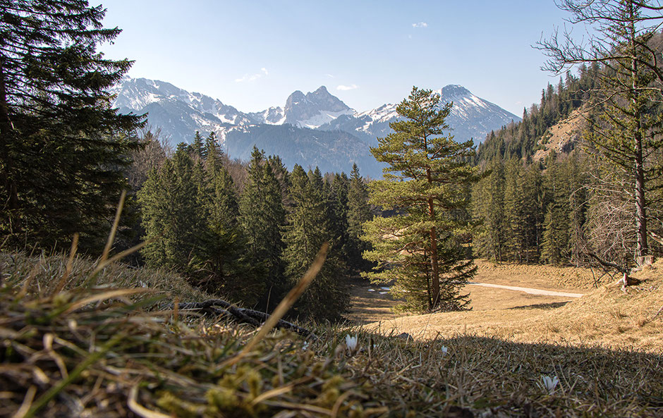 Urlaub mit Hund Bayern Allgäu, Bergurlaub mit Hund, Wandern Ostallgäu, Wanderkarte Ostallgäu, Alatsee, Salober Alm