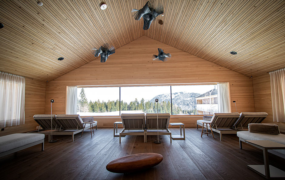Fuchsegg Eco Lodge, Bregenzer Wald, Bergurlaub mit Hund, Hotel in Vorarlberg, Urlaub in Österreich mit Hund