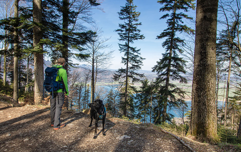 Blick von der Sonnenspitze auf den Kochelsee