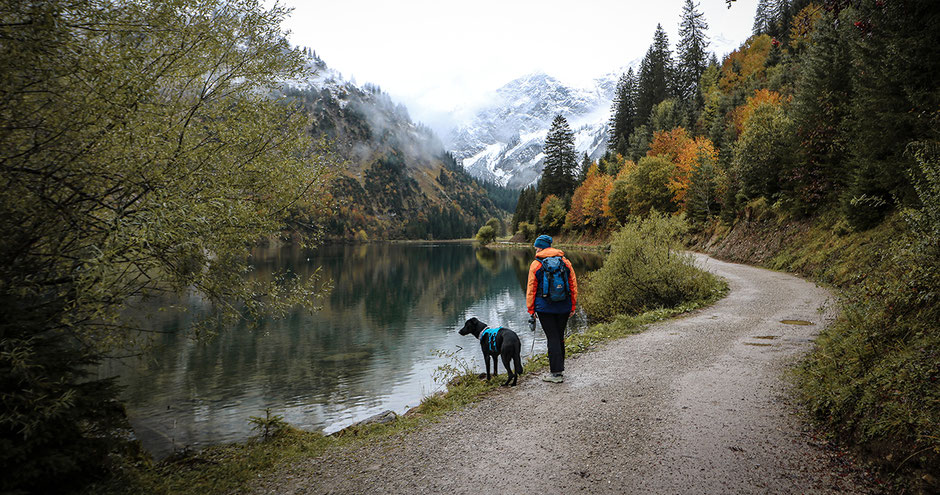 Vilsalpsee Tannheimer Tal Tirol Wandern mit Hund in Tirol Bergurlaub mit Hund