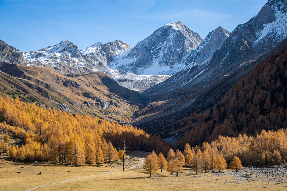 Wandern im Vinschgau, Pfossental, Schnalstal, Eishof, Bergurlaub mit Hund, Wandern im Herbst Südtirol