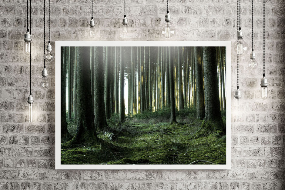Wald mit leichtem Licht sowie hängenden Deckenlampen