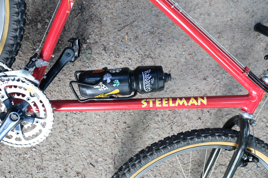 1993 Steelman El Gato