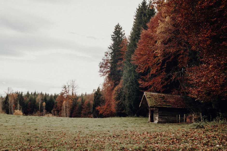 osterseen in bayern - by florian paulus