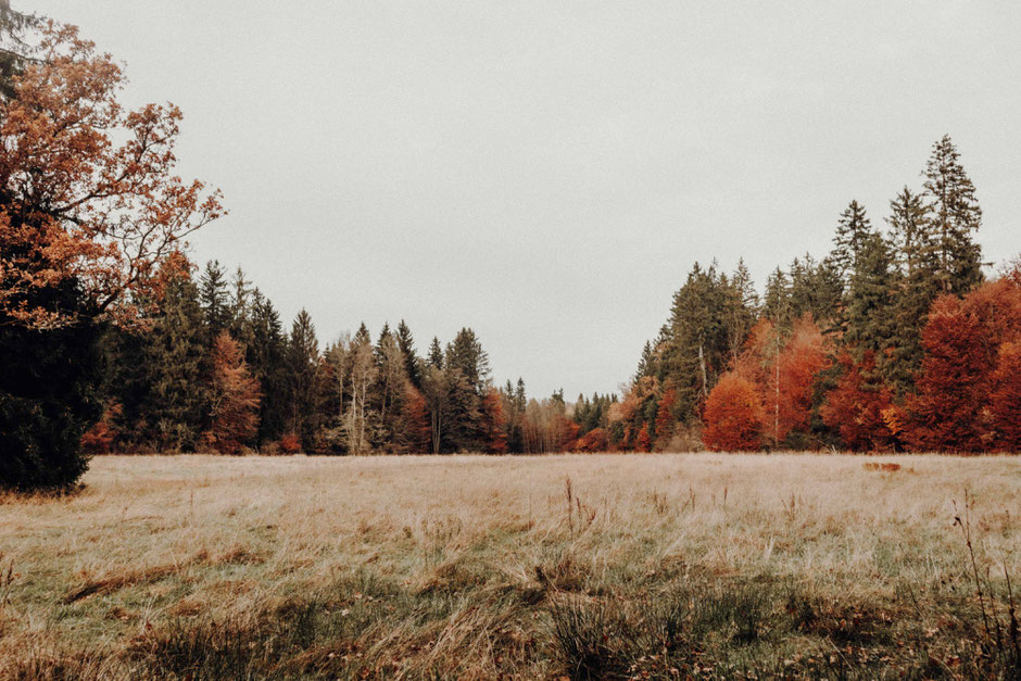 osterseen in bayern - by florian paulus