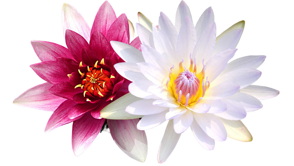 Samkhya et Yoga