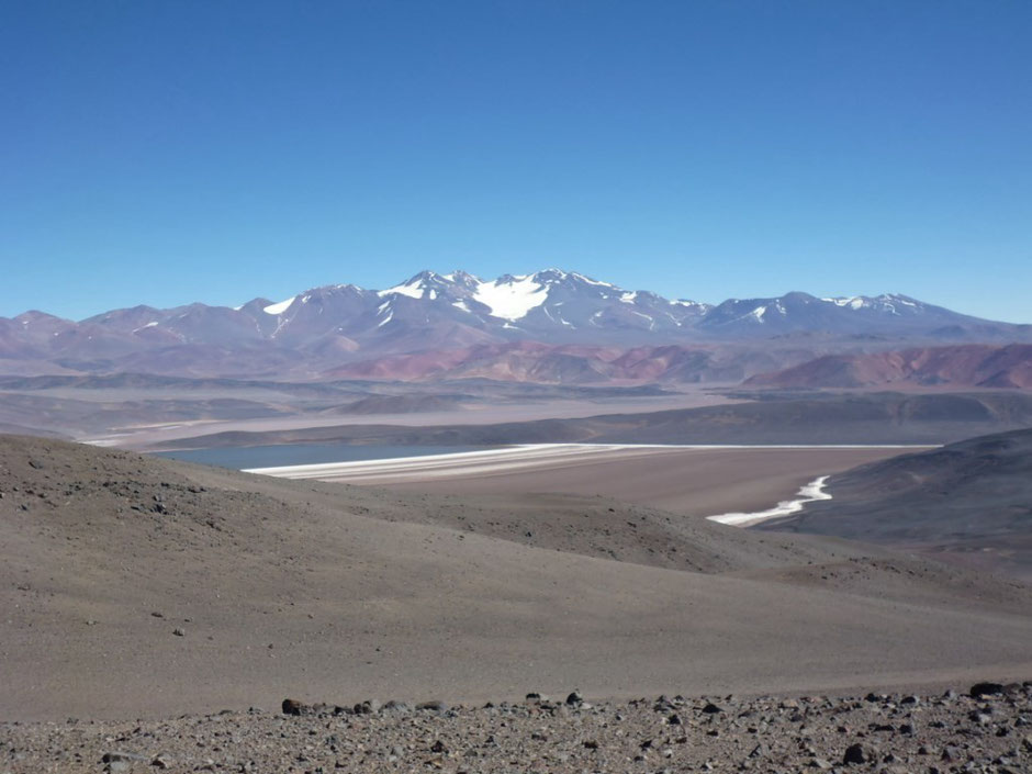 Laguna Negra ,de fondo el volcan Pissis