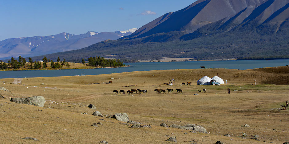 altai-mongolie-nomade