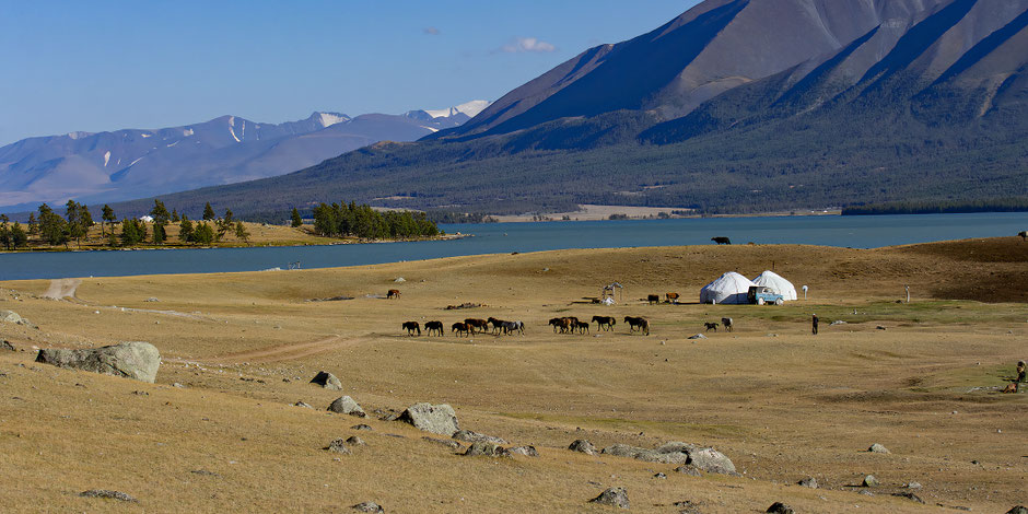 altai-mongolie-nomade