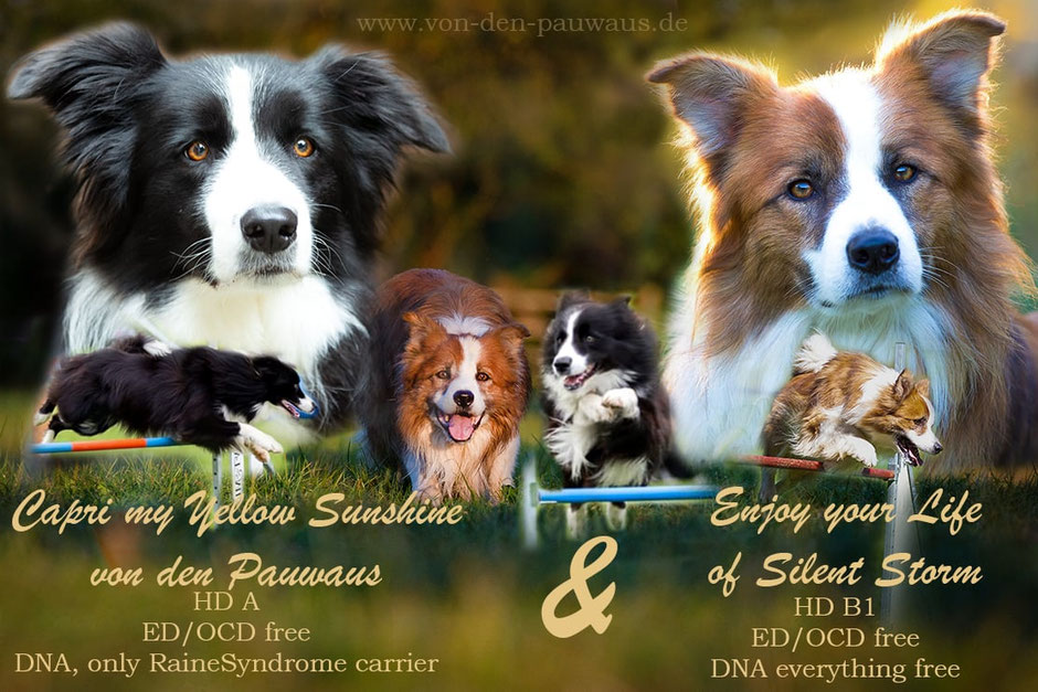 Bilder teilweise von Armin Pollack