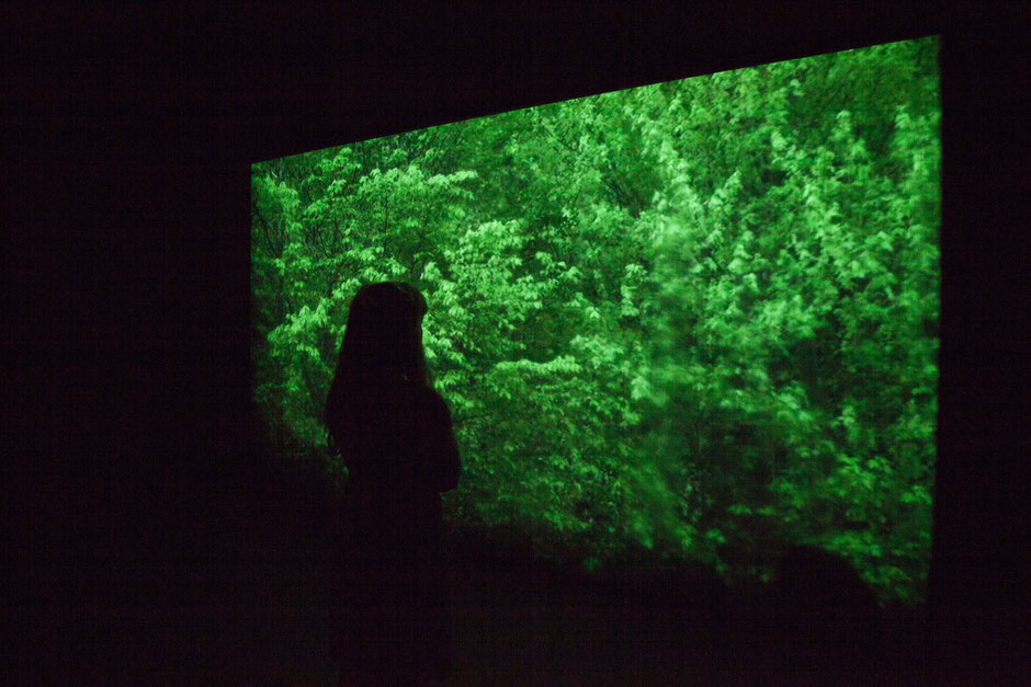 Videoinstallation "Ohne Titel"