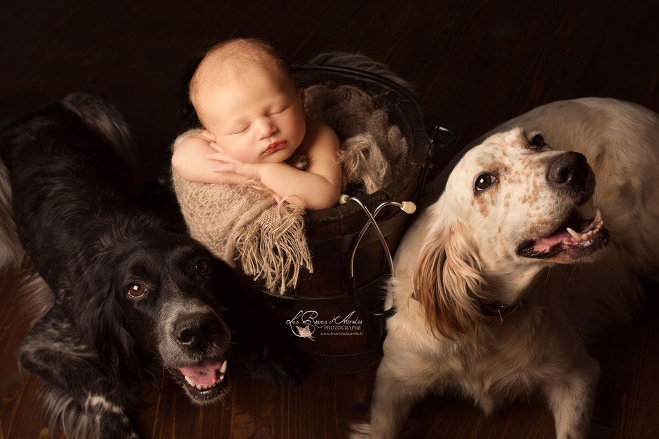 Photographe bébé animaux vétérinaire Brignoles