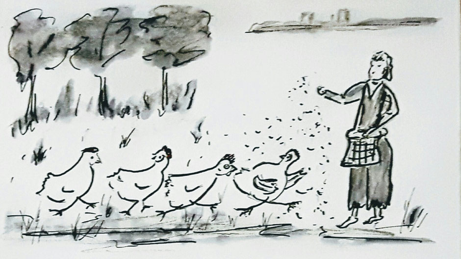Illustration "Die Farm der Hühner" von Doris Bauer