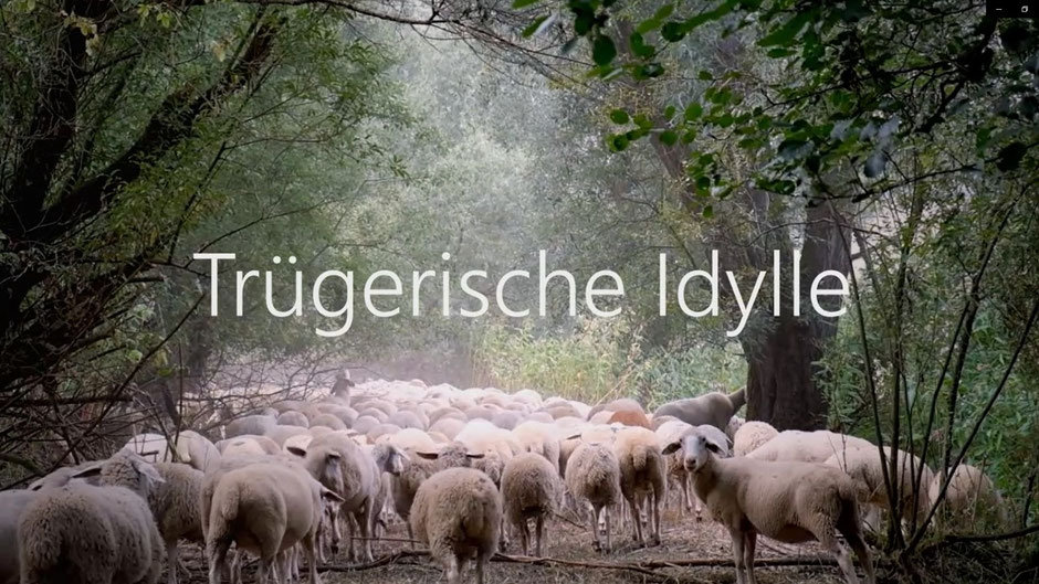 Crime & Nature - Autorin Uli Aechtner visualisiert ihren Krimi "Die Bach runter". Screenshot Uli Aechtner