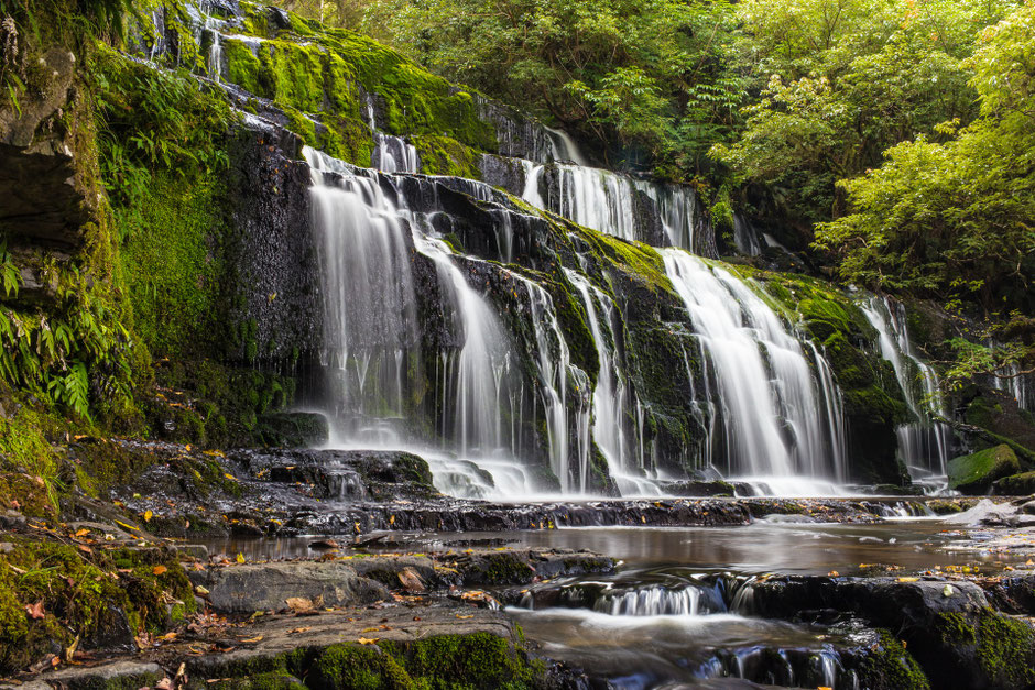 PURAKAUNUI FALLS, Foto: Roland Richter