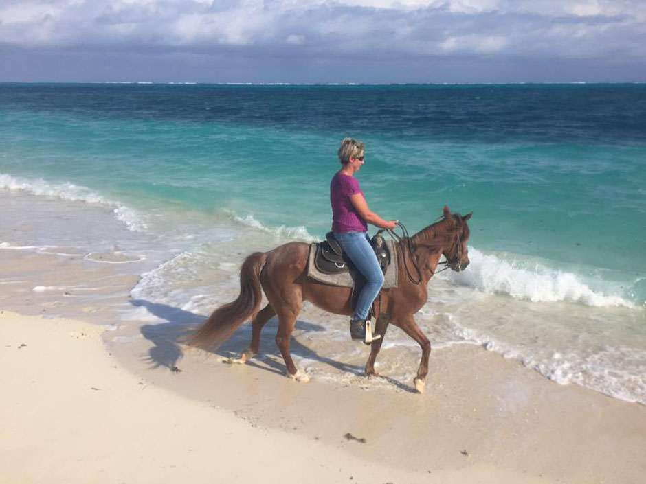 Turks et Caïcos /Providentiales /Baie de Grace (Grace bay beach) /Bahamas 