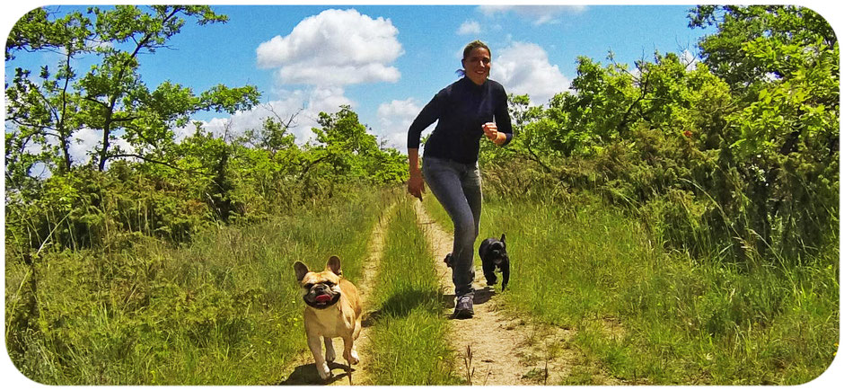 Bouledogue français Maddox & Hiro