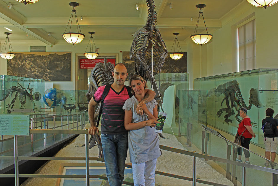 L'American Museum Of Natural History -le muséum d'histoire naturelle- New York