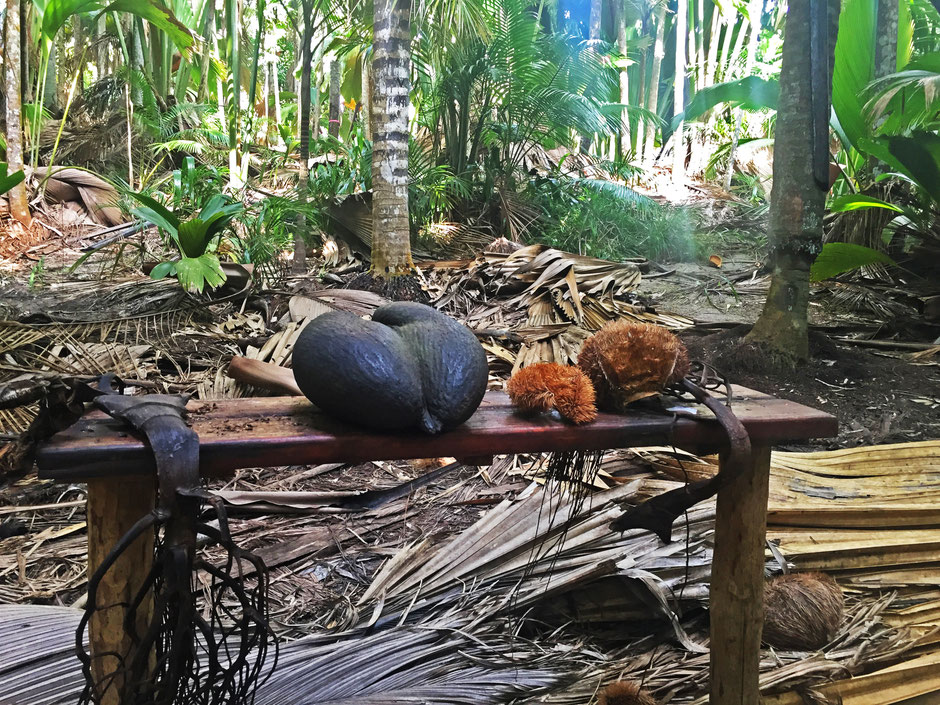 Praslin, Anse Lazio, Seychelles