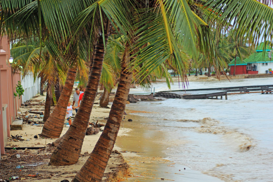 Belize, isla bonita,Hol Chan Marine Park, san pedro, ambergris caye,Hol Chan Marine Park.  Shark Ray Alley.