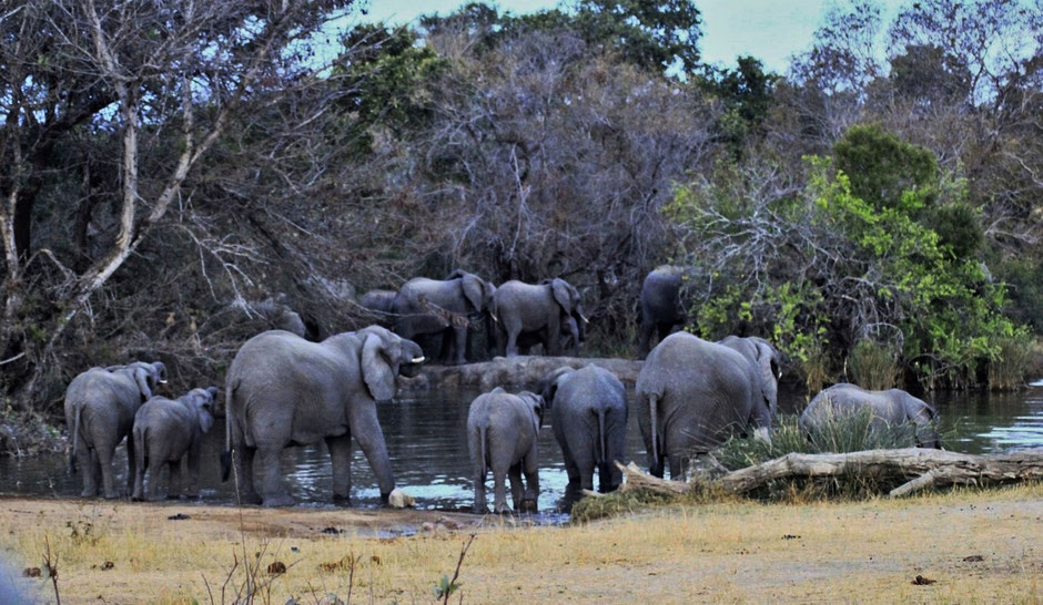 Afrique du Sud / Mozambique 