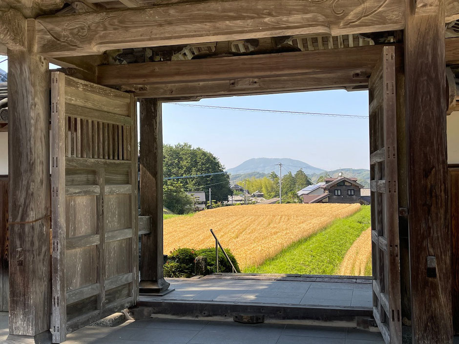 龍国寺の山門