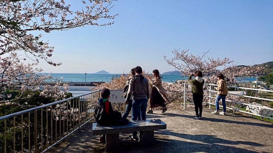 桜と海の眺め