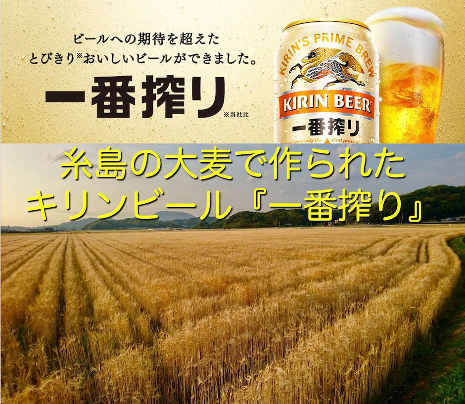 キリンビール一番搾り