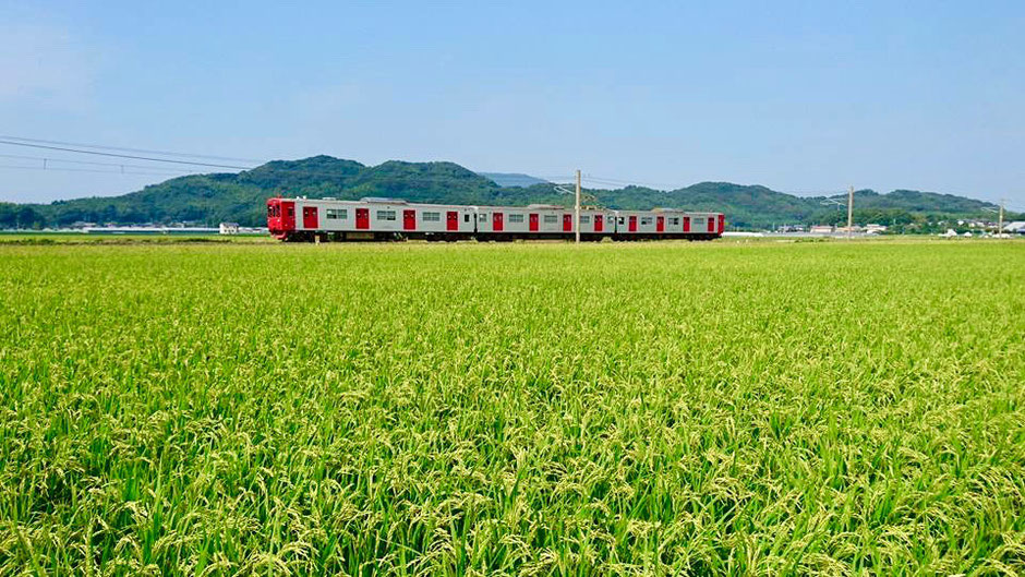 田園を走る電車