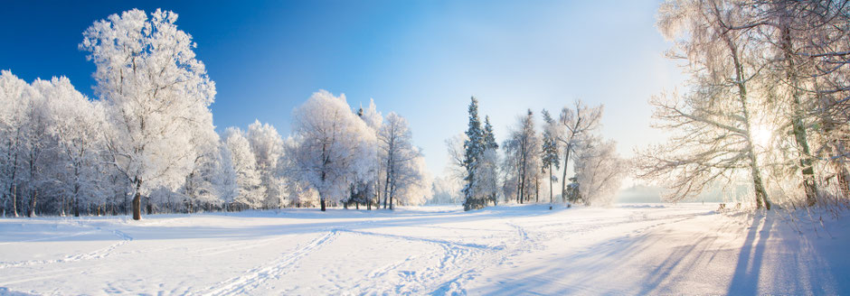 Schneelandschaft im Schwarzwald