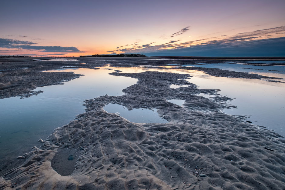 Natuurgebied het Zwin Zeeuws Vlaanderen