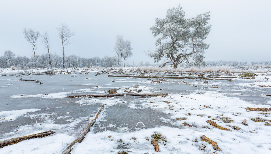 Winter op het Balloerveld © Jurjen Veerman