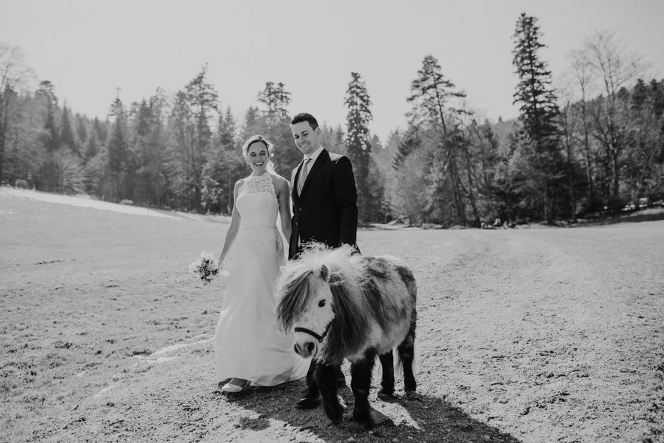 Hochzeitsfotos mit Mini Pony