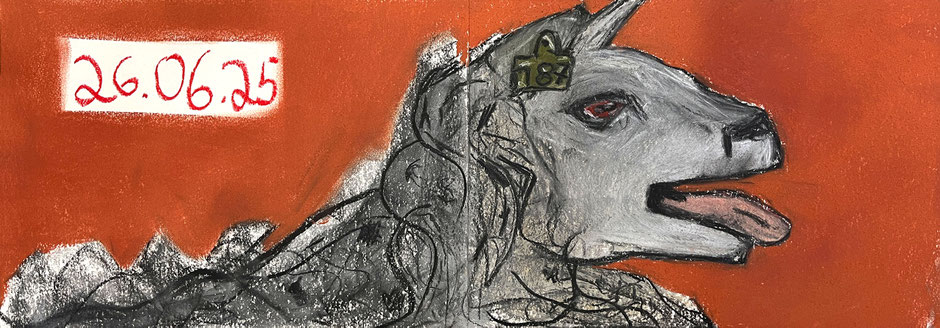 Bild des Monats Juli 2025: Ira WOLLFSCHAF Pastell 21 x 59,4 cm | Foto: Günter Wintgens