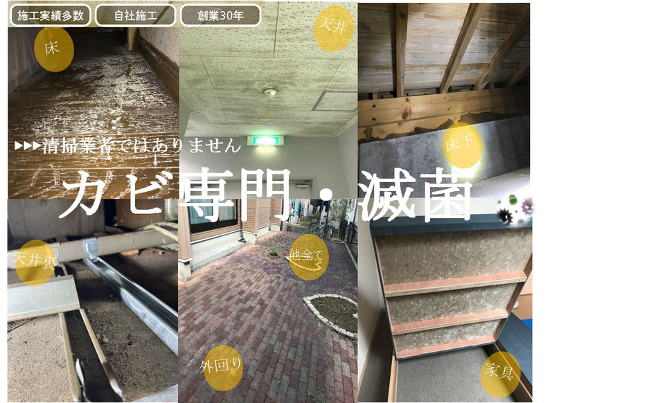 カビ専門｜滅菌｜検査｜調査