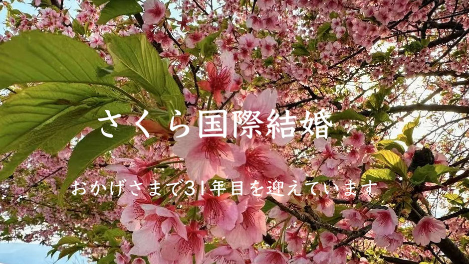 さくら国際結婚