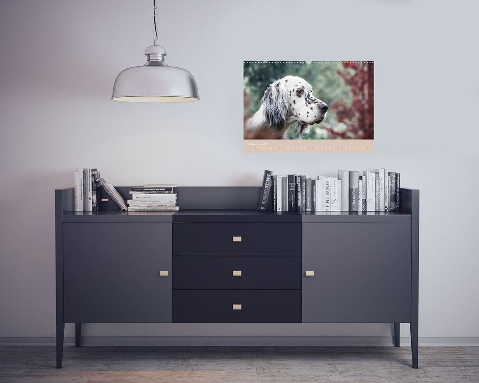 VISOVIO English Setter - Impressionen edler Hunde >>> Erhältlich z.B. auf Buch24, Thalia, Amazon, bestellbar bei jedem regionalen Buchhändler || werbung, english setter, geschenkidee, setter kalender, visovio, fineart