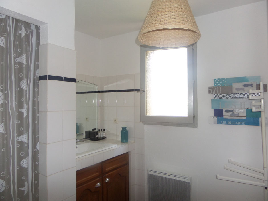 SALLE DE BAIN 2 AVEC DOUCHE