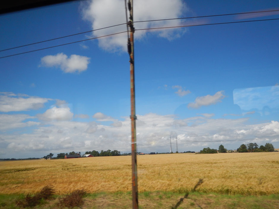 Im Zug nach Trelleborg...