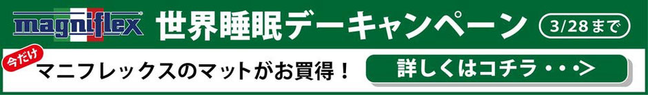 マニフレックス　世界睡眠デーキャンペーン　/　マニフレックスの品揃えが １番の マニステージ福岡